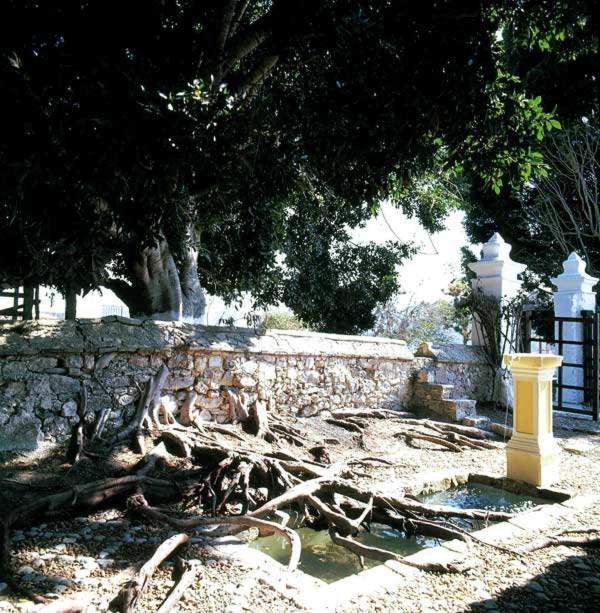 Parador-Museo Santa Maria La Trinitaria Kültér fotó